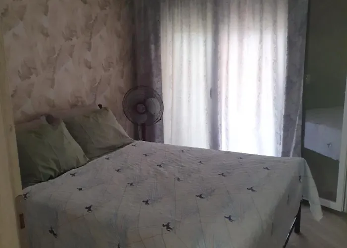 公寓 το σπιτι της μπρουνας 尼坡帝