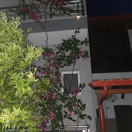 Daire το σπιτι της μπρουνας