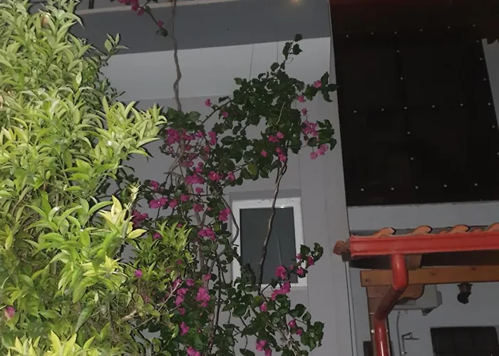 דירה το σπιτι της μπρουνας